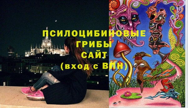 mix Мегион