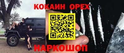 шишки Донской