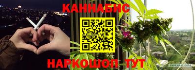 шишки Донской