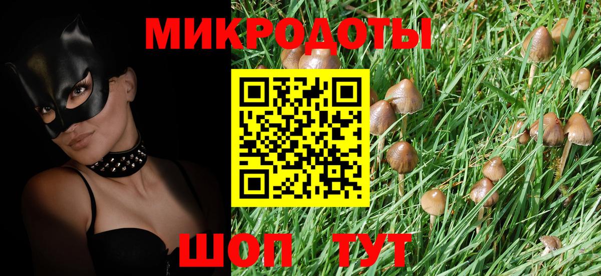 Галлюциногенные грибы прущие грибы Скопин