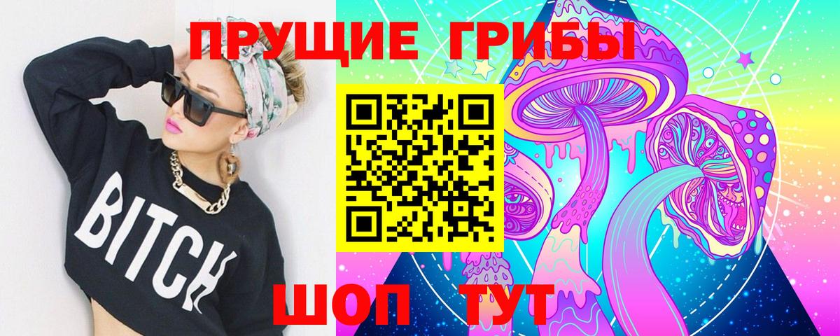 Псилоцибиновые грибы Psilocybine cubensis Скопин