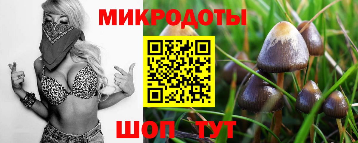 Псилоцибиновые грибы Psilocybe  Скопин 